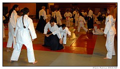 PATAIKI (304)-border.jpg