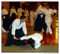 PATAIKI (306)-border.jpg