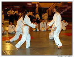 PATAIKI (324)-border.jpg